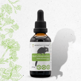 Bird's Respiratory - Healthy Respiratory System Support in Birds