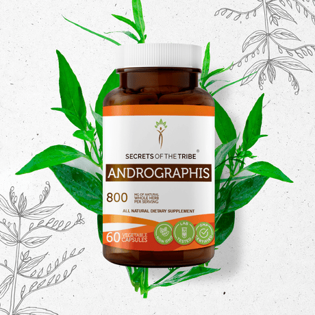 Secrets of the Tribe Andrographis Capsules