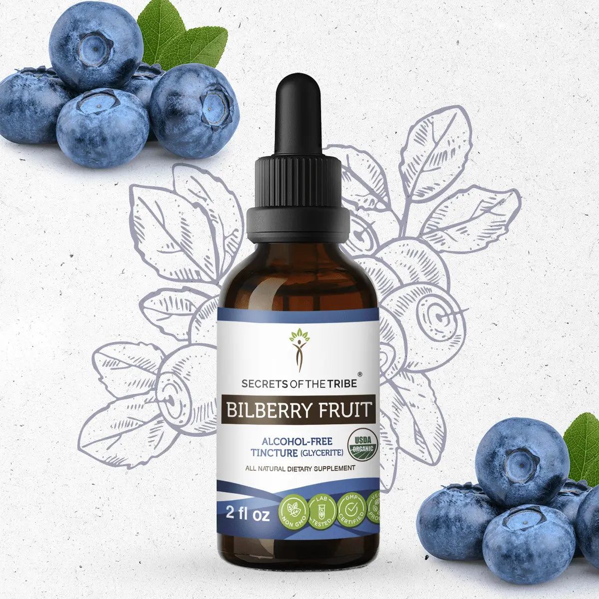 Secrets of the Tribe Bilberry Fruit Tincture