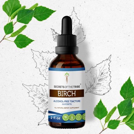 Secrets of the Tribe Birch Tincture
