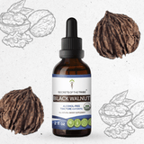 Black Walnut Tincture