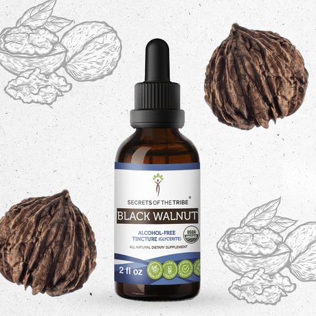 Secrets of the Tribe Black Walnut Tincture