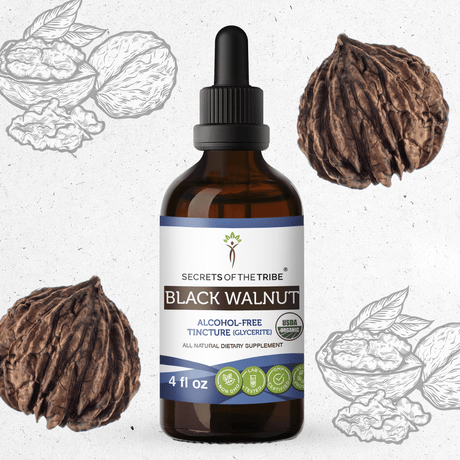 Secrets of the Tribe Black Walnut Tincture
