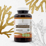 Bladderwrack Capsules