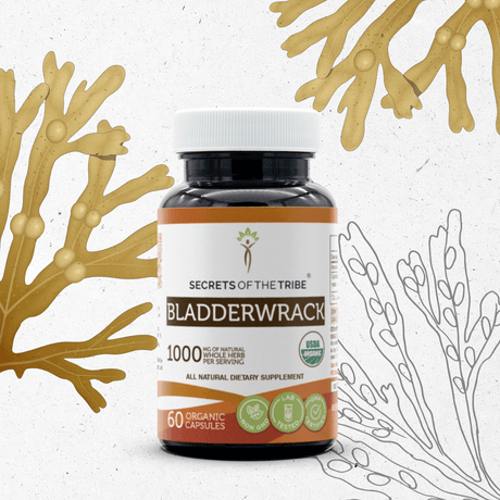 Secrets of the Tribe Bladderwrack Capsules