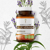 Blue Vervain Capsules
