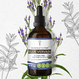 Blue Vervain Tincture