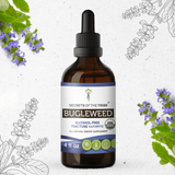 Secrets of the Tribe Bugleweed Tincture