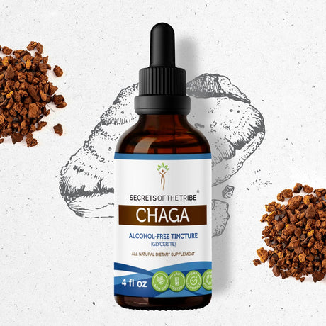 Secrets of the Tribe Chaga Tincture