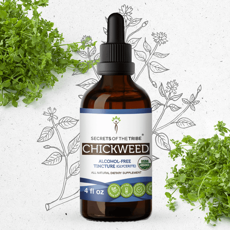 Secrets of the Tribe Chickweed Tincture
