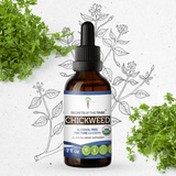 Chickweed Tincture