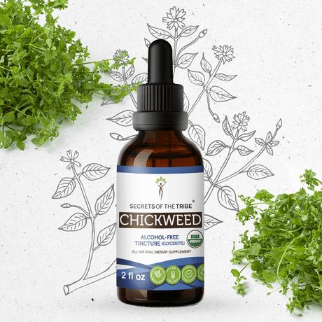 Secrets of the Tribe Chickweed Tincture
