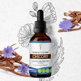 Chicory Tincture