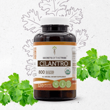 Cilantro Capsules