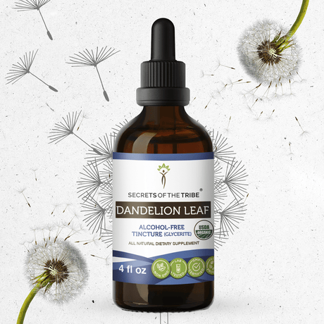 Secrets of the Tribe Dandelion Leaf Tincture