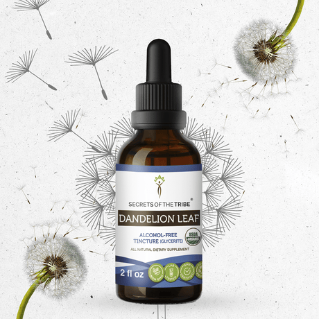 Secrets of the Tribe Dandelion Leaf Tincture