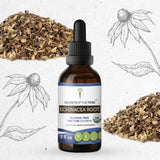 Echinacea Root Tincture