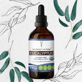 Eucalyptus Tincture