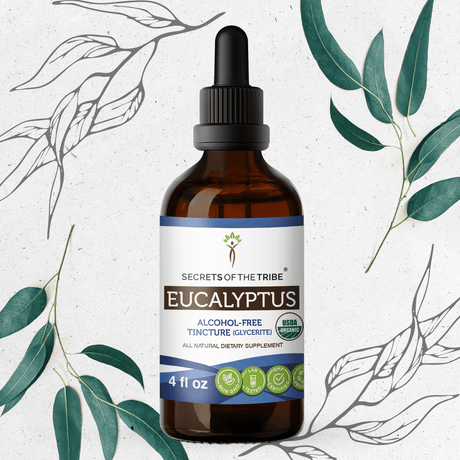 Secrets of the Tribe Eucalyptus Tincture