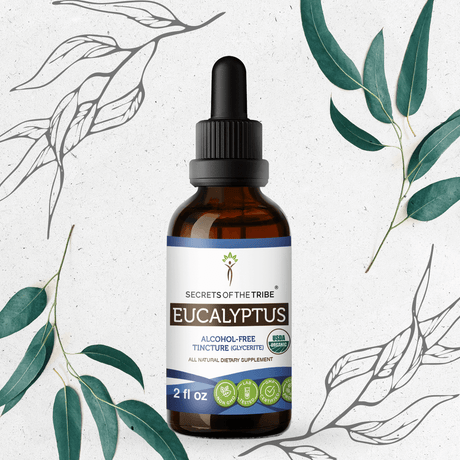 Secrets of the Tribe Eucalyptus Tincture