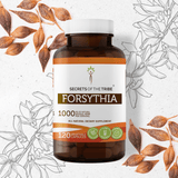 Forsythia Capsules