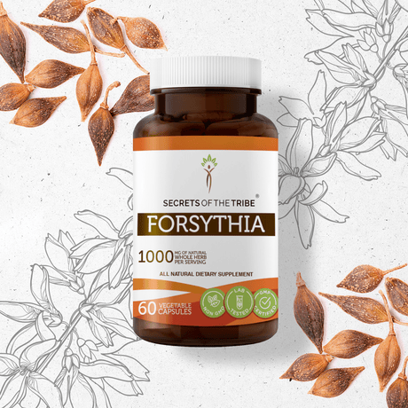 Secrets of the Tribe Forsythia Capsules