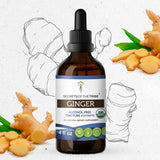Secrets of the Tribe Ginger Tincture