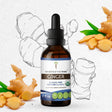 Secrets of the Tribe Ginger Tincture