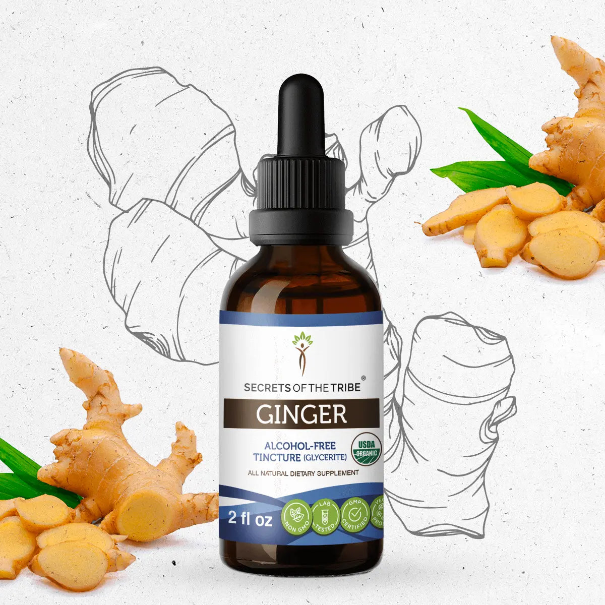 Secrets of the Tribe Ginger Tincture