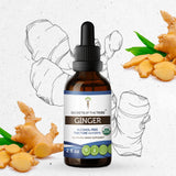 Secrets of the Tribe Ginger Tincture