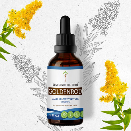 Secrets of the Tribe Goldenrod Tincture