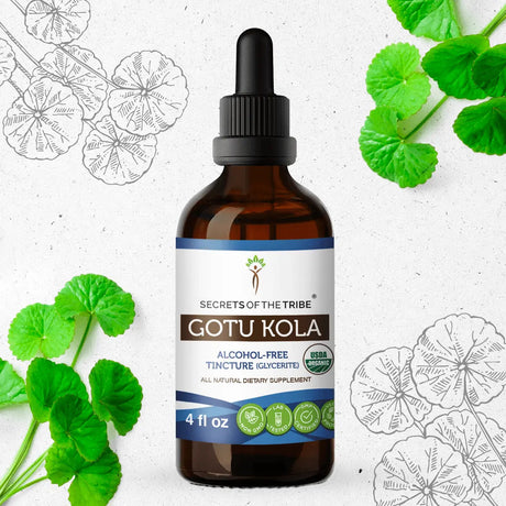 Secrets of the Tribe Gotu Kola Tincture