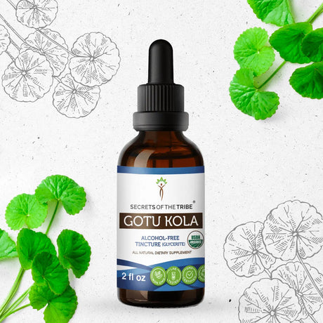 Secrets of the Tribe Gotu Kola Tincture