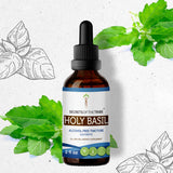 Secrets of the Tribe Holy Basil Tincture