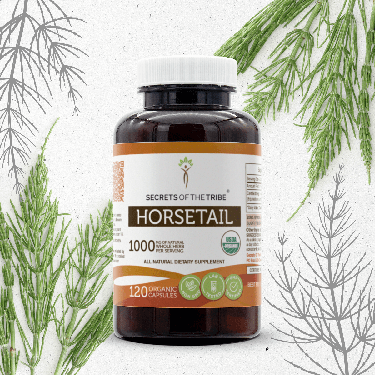 Horsetail Capsules