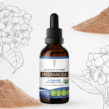 Secrets of the Tribe Hydrangea Tincture