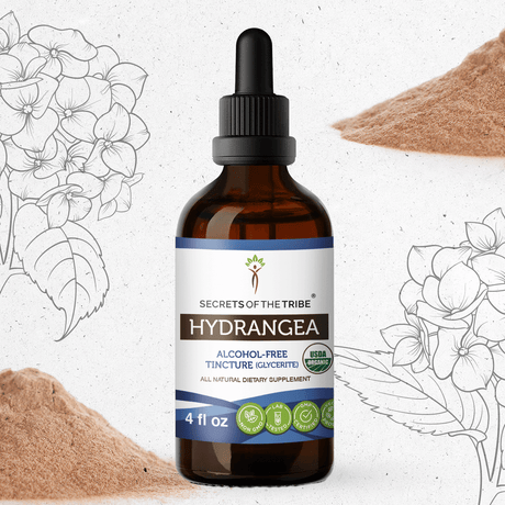 Secrets of the Tribe Hydrangea Tincture