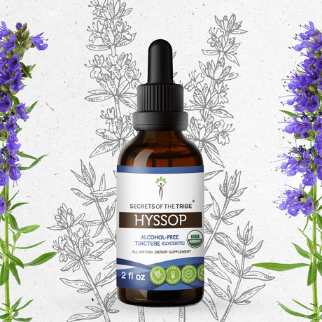 Secrets of the Tribe Hyssop Tincture
