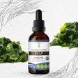 Secrets of the Tribe Kelp Tincture