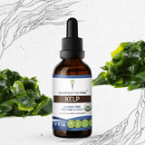 Secrets of the Tribe Kelp Tincture