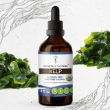 Secrets of the Tribe Kelp Tincture