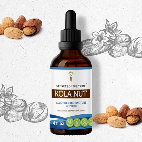 Secrets of the Tribe Kola Nut Tincture
