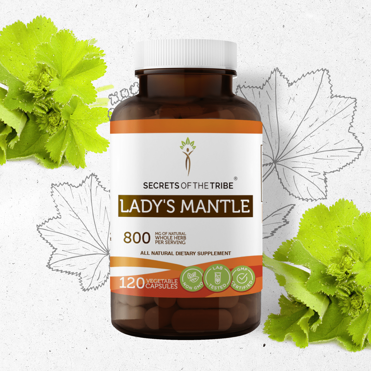 Lady's Mantle Capsules