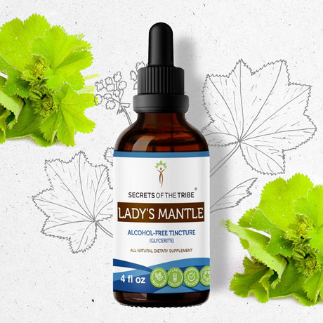 Secrets of the Tribe Lady's Mantle Tincture