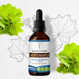 Lady's Mantle Tincture