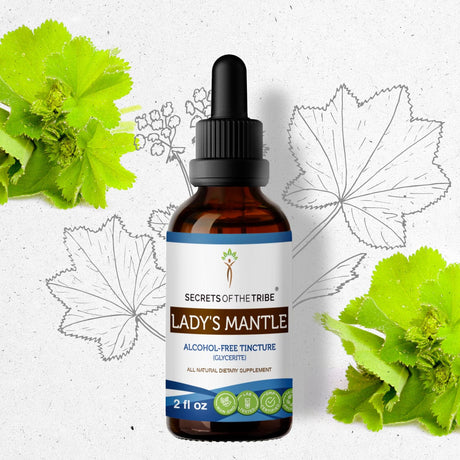 Secrets of the Tribe Lady's Mantle Tincture