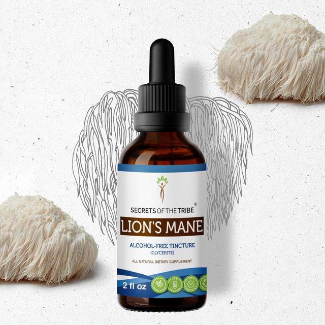 Secrets of the Tribe Lion's Mane Tincture