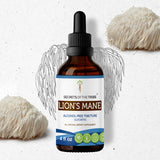 Secrets of the Tribe Lion's Mane Tincture