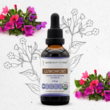 Lungwort Tincture