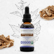 Secrets of the Tribe Marshmallow Root Tincture